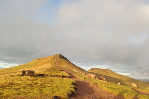 Privéwandeling: Pen y Fan begeleide wandeling bij zonsondergang Brecon Beacons