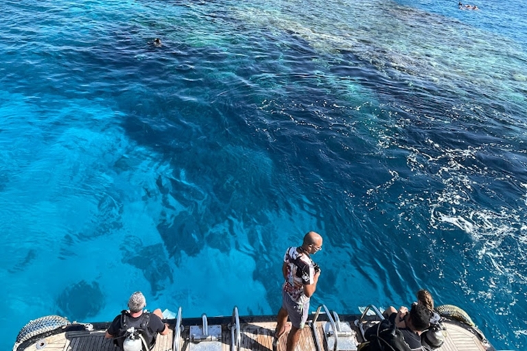 Sharm: Isla Blanca y Ras Mohamed con traslados privadosTour en barco de introducción al buceo con traslados privados, almuerzo y bebidas