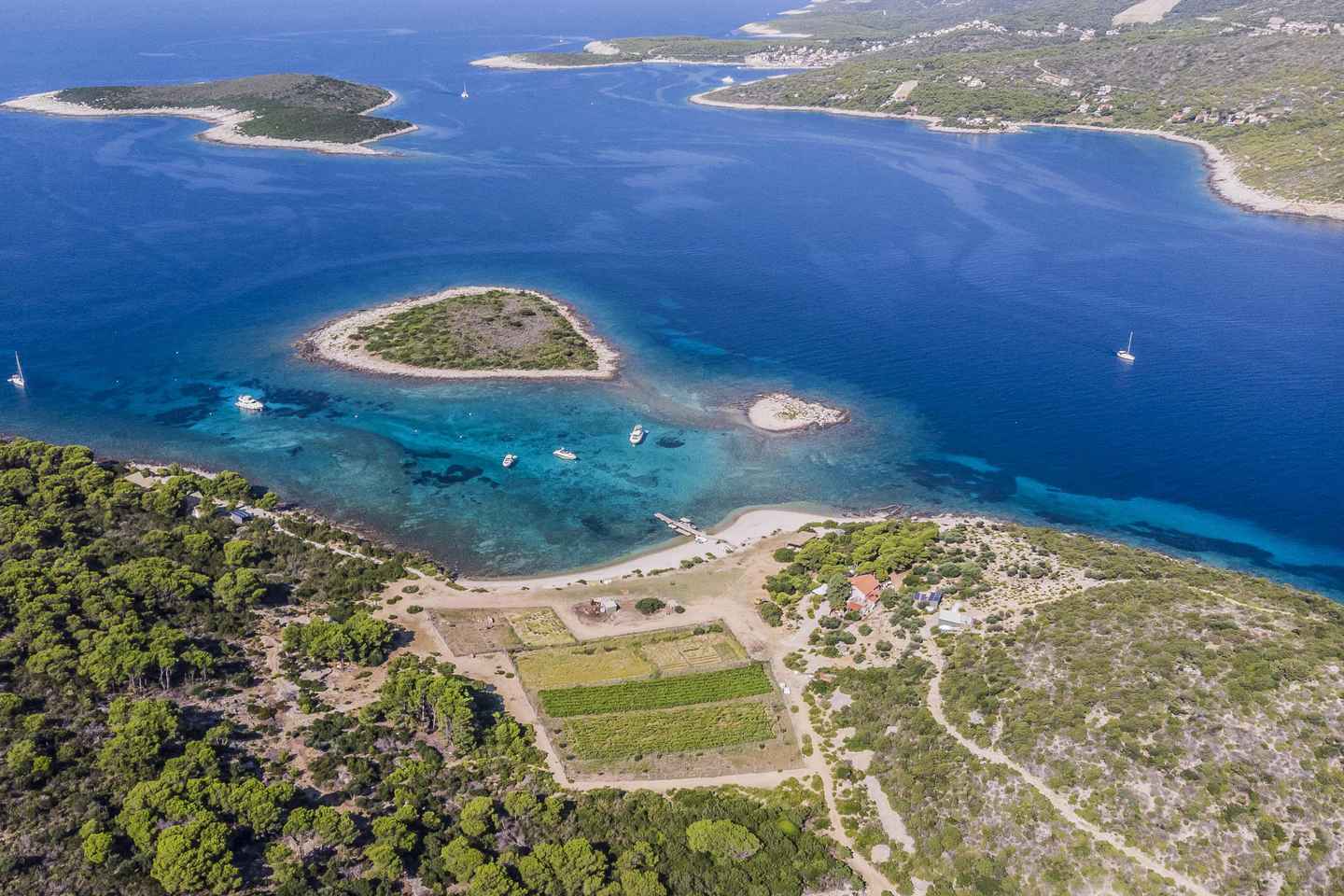 Hvar: Blue and Green Caves Boat Tour with Stiniva Beach
