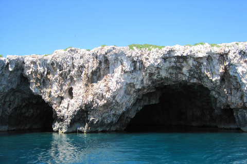 Hvar: Blue and Green Caves Boat Tour with Stiniva Beach