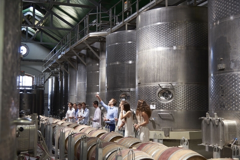 Santiago: Casa del Bosque Weinkellerei Tour mit Verkostung und MittagessenSantiago: Casa del Bosque Weinkeller Tour mit Verkostung und Mittagessen