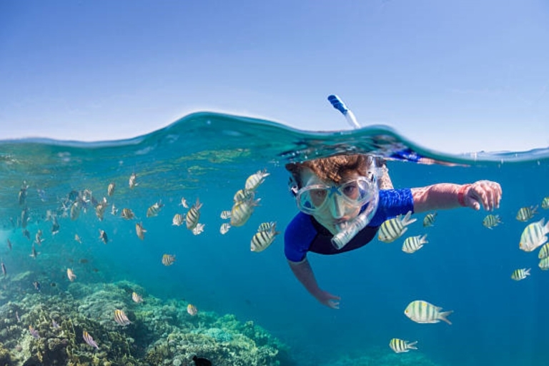 Sharm El Sheikh: Ras Mohammed and White Island Luxury Cruise Cruise with Snorkeling and Ras Mohammed Visit