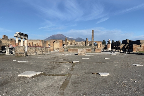 Au départ de Sorrento : Pompéi et Vésuve Petit groupe