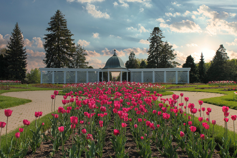 Niagara: Behind Falls Tour with Boat & Skylon Tower Niagara Falls: Walking Tour with Voyage to the Falls Cruise