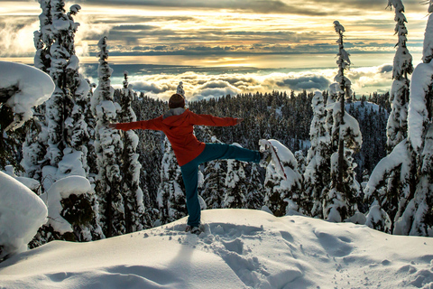 Vancouver: Panoramic View Hike Tour Vancouver: Panoramic View Snowshoeing Tour