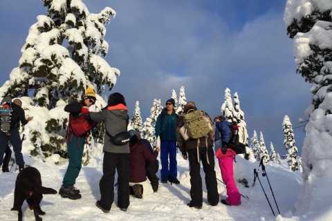 Vancouver: Wycieczka piesza z panoramicznym widokiemVancouver: Panoramiczny widok na rakietach śnieżnych