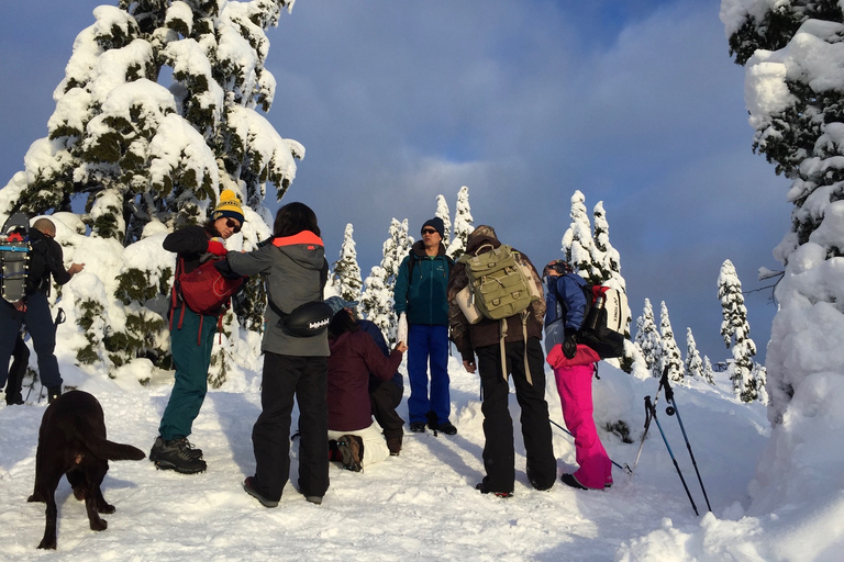 Vancouver: Panoramic View Hike Tour Vancouver: Panoramic View Snowshoeing Tour