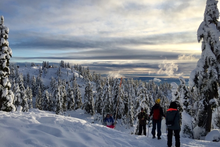 Vancouver: Panoramic View Hike Tour Vancouver: Panoramic View Snowshoeing Tour