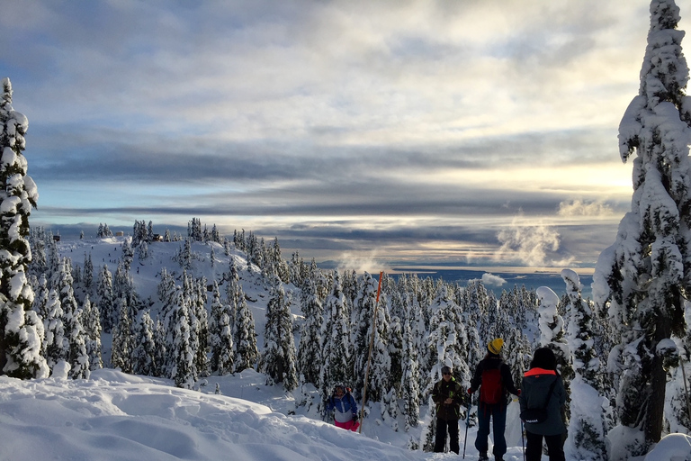 Vancouver: Wycieczka piesza z panoramicznym widokiemVancouver: Panoramiczny widok na rakietach śnieżnych