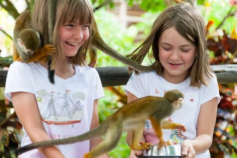 From Bayahibe: Half Day Monkeyland Safari