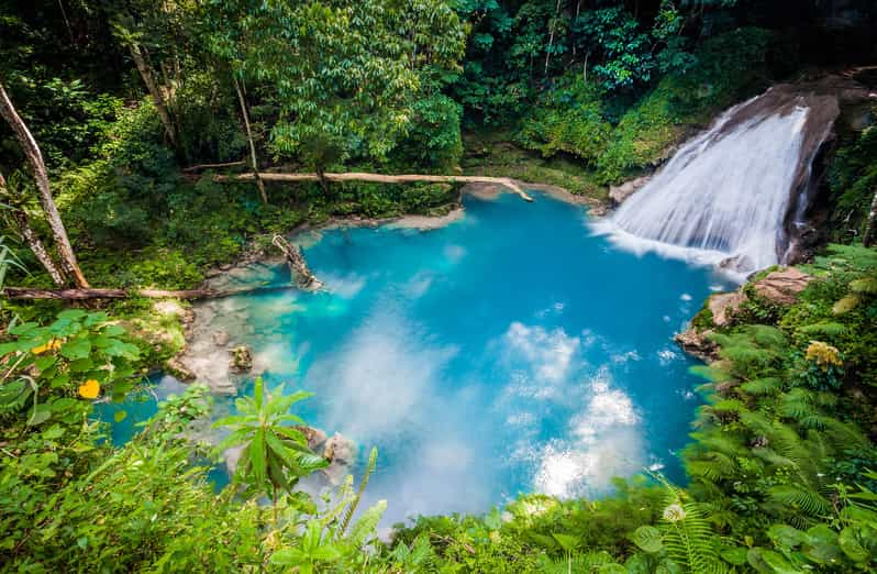 Montego Bay: Blue Hole, Dunn’s River & Reggae Hill Tour | GetYourGuide