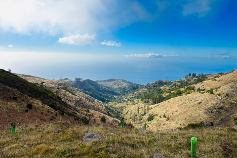 Funchal: East Madeira Island Guided Tour & Laurissilva Walk