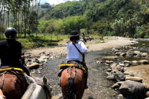 Pereira/Salento: Valle del Cocora e passeggiate a cavallo salentine