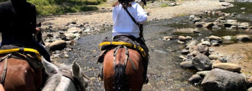 Vallée de Cocora : Salento & visite privée à cheval