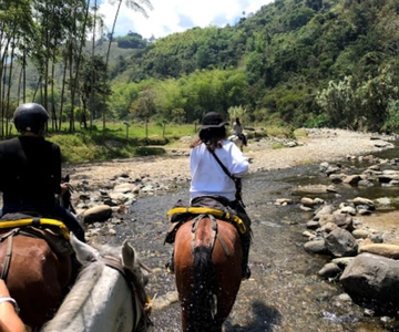 Vale de Cocora: Salento e tour particular a cavalo