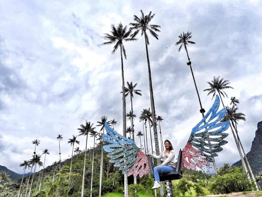 salento cocora valley tour