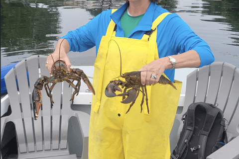 Belfast Lobster Fishing Experiences — Midcoast Maine Haul Traps & Feast: Maine Lobster Boat Experience