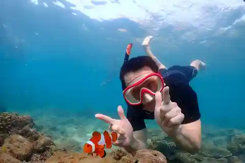 Samaesarn : Finding Nemo Snorkeling Tour Private speedboat