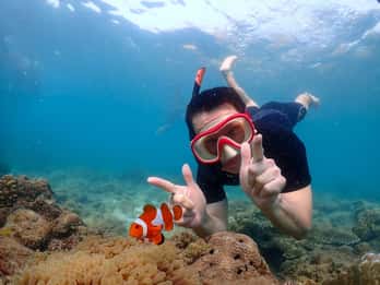 Samaesarn : Finding Nemo Snorkeling Tour Private speedboat