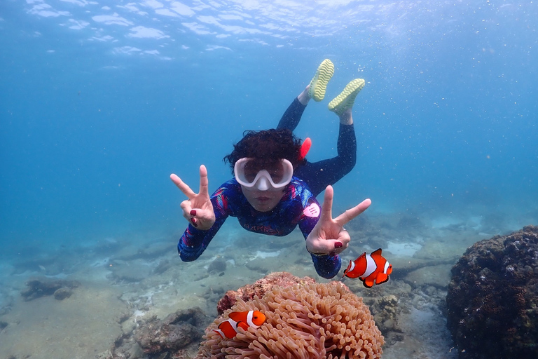 Samaesarn: Excursión de snorkel Buscando a Nemo en lancha rápida privada