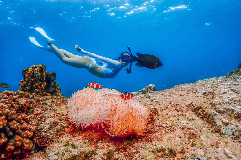 Samaesarn: Excursión de snorkel Buscando a Nemo en lancha rápida privada