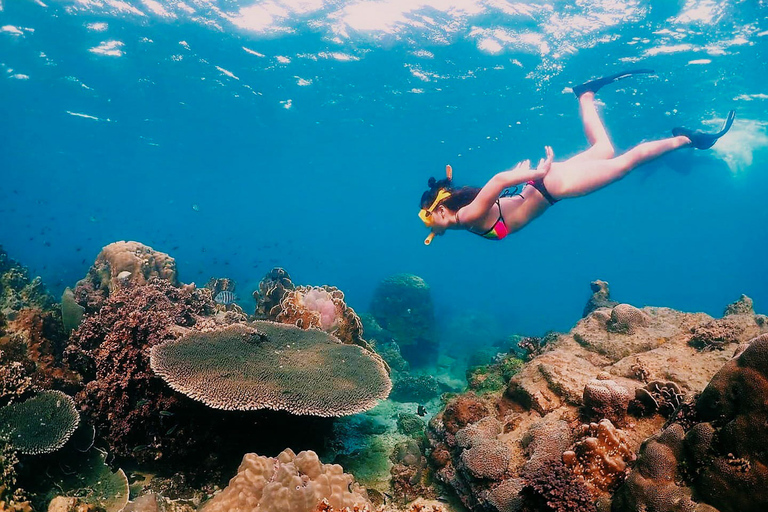 Samaesarn : Excursão para encontrar Nemo em uma lancha particularSamaesarn : Tour do Procurando Nemo em uma lancha particular