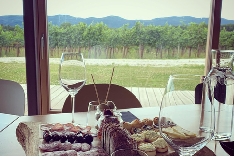 Lubiana: viaggio privato di degustazione di vini in un vigneto di proprietà familiareDegustazione di vini in piccoli gruppi in un vigneto di proprietà della famiglia