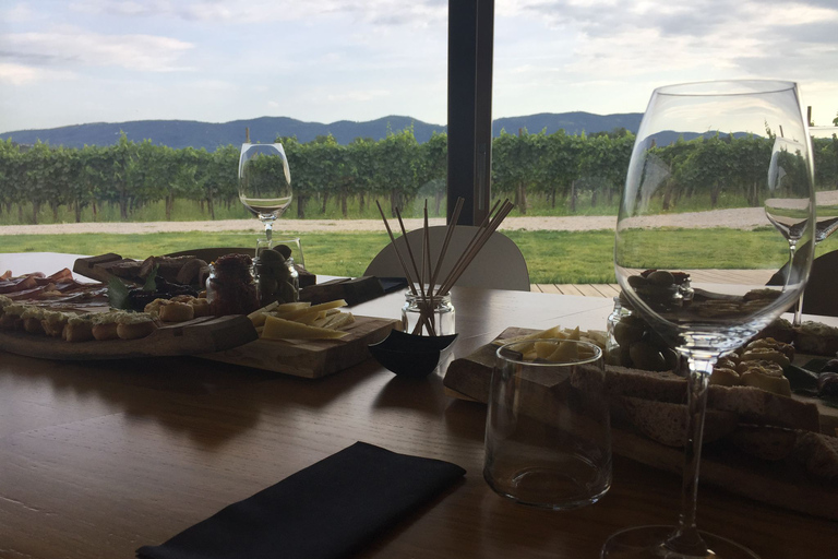 Lubiana: viaggio privato di degustazione di vini in un vigneto di proprietà familiareDegustazione di vini in piccoli gruppi in un vigneto di proprietà della famiglia