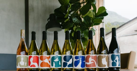 Ljubljana: Family-Owned Vineyard Wine Tasting Trip