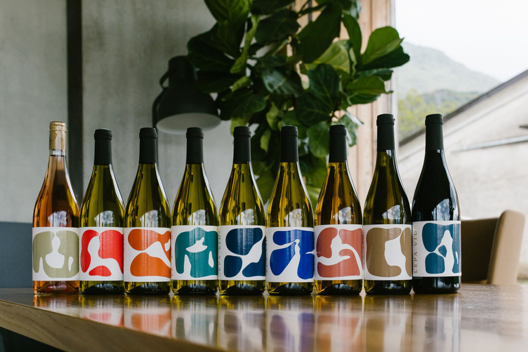 Lubiana: viaggio privato di degustazione di vini in un vigneto di proprietà familiareDegustazione di vini in piccoli gruppi in un vigneto di proprietà della famiglia