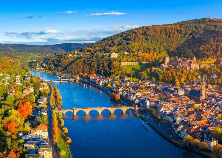Heidelberg: Crociera turistica sul fiume Neckar con una bevanda
