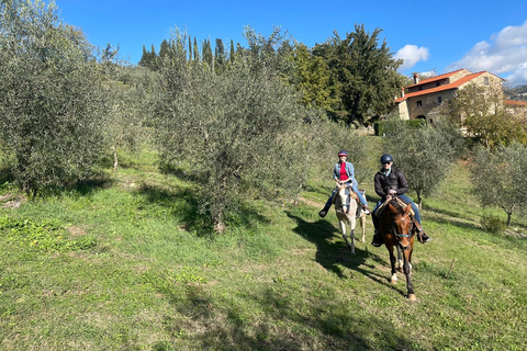 Florence: Horse ride 3h and Wine Tasting&Lunch at a castle