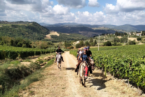 Florence: Horse ride 3h and Wine Tasting&Lunch at a castle