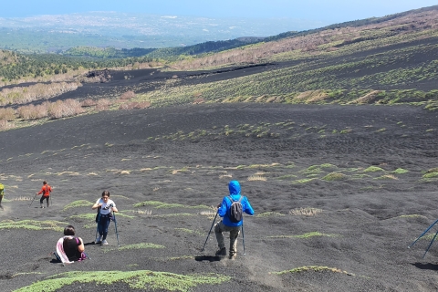 Guided excursion to Etna and Alcantara Gorges from Taormina