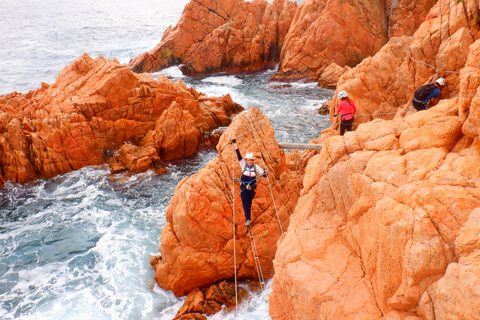 Sant Feliu de Guixols: Klettersteig Cala del MolíKlettersteig Cala del Molí - Sant Feliu de Guixols