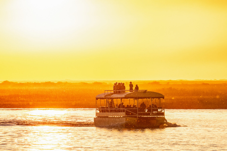 Luxuriöser Chobe-Tagesausflug - Wildbeobachtungs-Safari [ab Vic Falls]