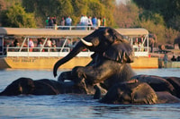 维多利亚瀑布（Chobe National Park）与午餐一起旅行 - Housity