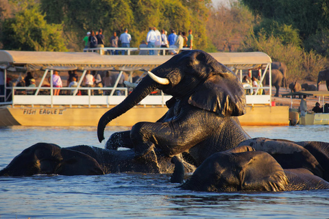 Luxuriöser Chobe-Tagesausflug - Wildbeobachtungs-Safari [ab Vic Falls]