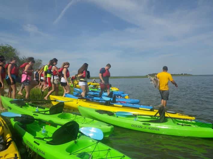 Assateague Island The Wildlife Discovery Kayak Tour GetYourGuide