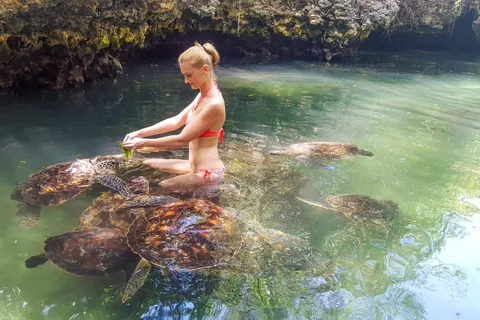 Zanzibar: Nungwi Turtle Aquarium Guided Half-Day Trip
