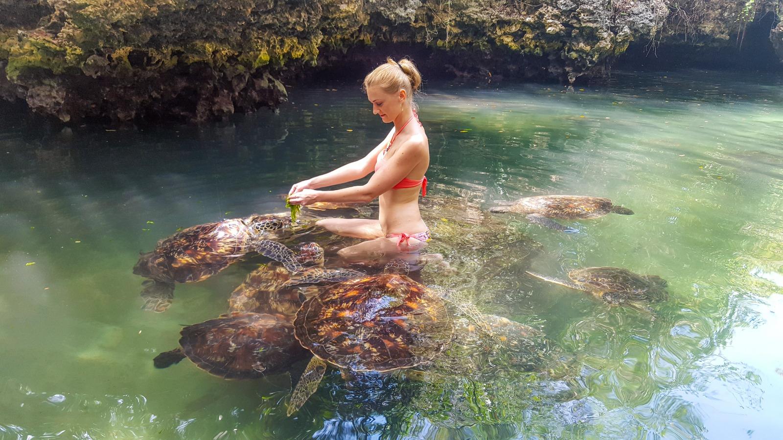 Sansibar: Halbtägige Tagestour mit Guide zum Nungwi Turtle Aquarium
