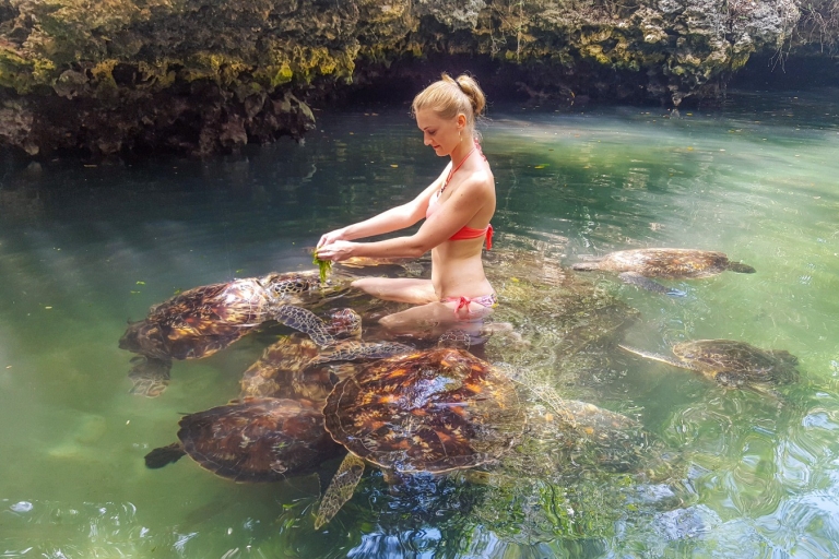 Sansibar: Nungwi Schildkröten-Aquarium