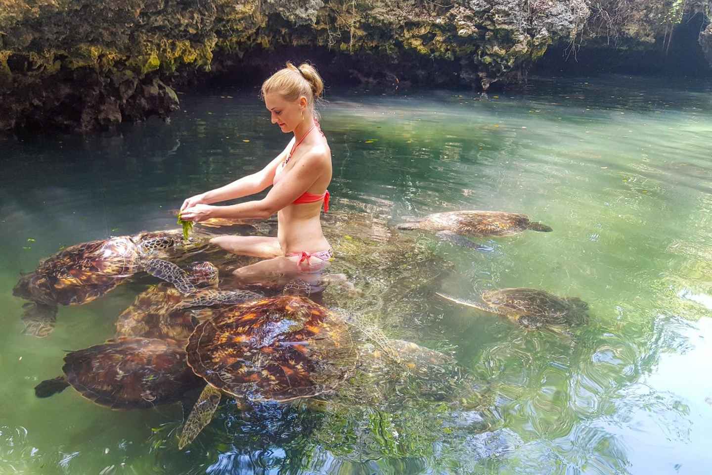 Zanzibar: Nungwi Turtle Aquarium Guided Half-Day Trip - Aquarium:Transfer From Kendwa/or Nungwi without entry ticket