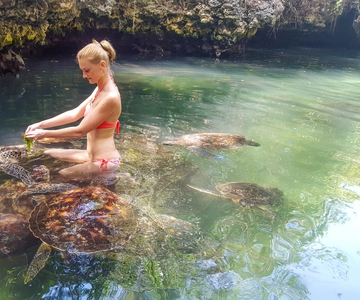 Zanzibar: Nungwi Turtle Aquarium Guided Half-Day Trip