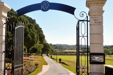 Nice : Dégustation privée de vins avec déjeuner et boissons en optionDégustation privée de vins du "Clos des Roses" à Sedan