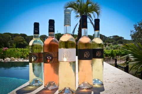 Nicea: Prywatna degustacja wina z opcjonalnym lunchem i napojamiPrywatna degustacja wina „Clos des Roses” w sedanie