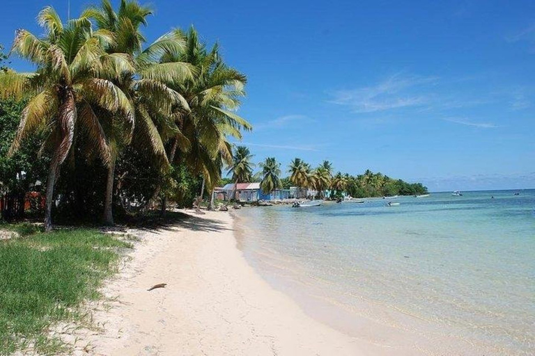 Roseau: snorkelen en stranddag met lunch