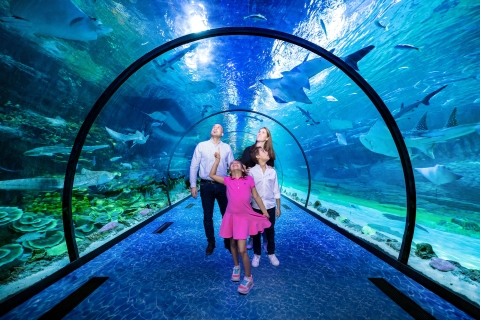 Von Dubai aus: Abu Dhabi Private Tour mit Aquarium TicketsPrivate Spanisch/Deutsch/Italienisch/Französisch Tour