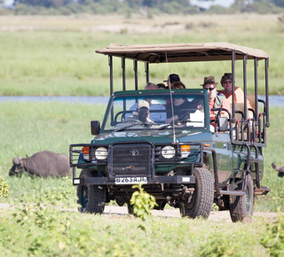 Chobe National Park: Day Trips and Tours from Victoria Falls