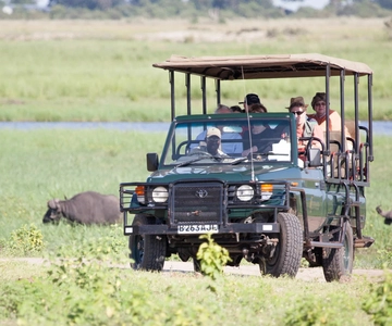 Victoria Falls: Chobe National Park Day Trip with Lunch